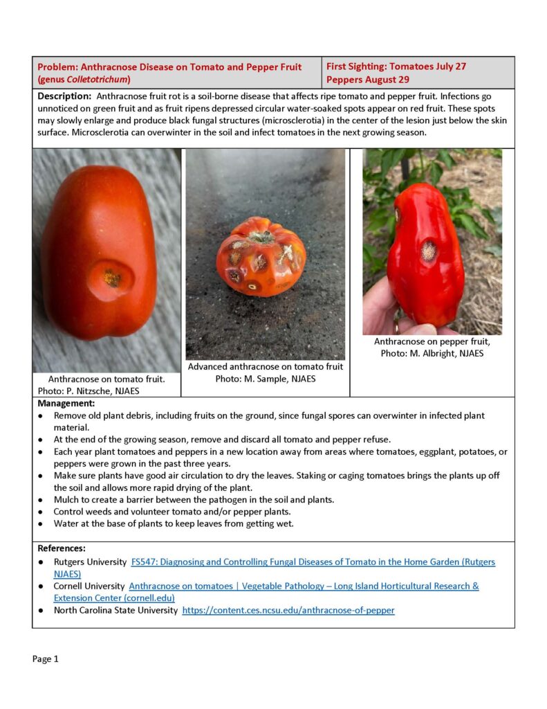 An excerpt from a IPM report showing text and images about Anthracnose Disease on tomato and pepper fruits.