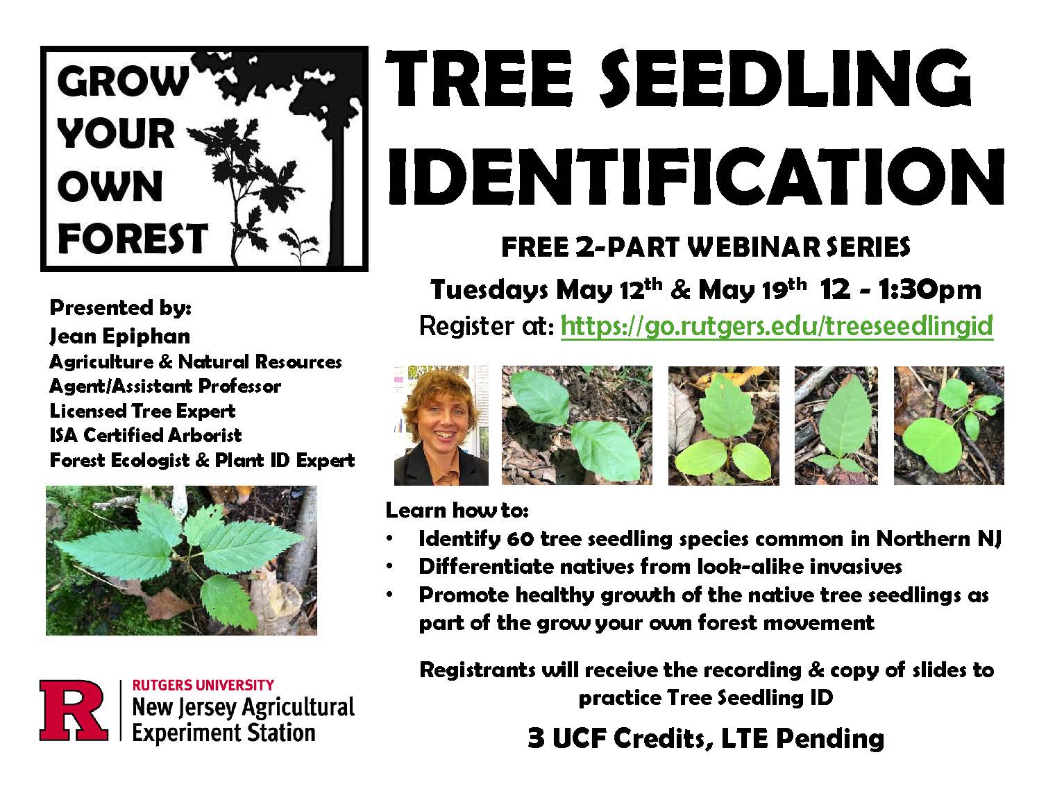 Tree Seedling Identification 2-part series flyer. May 12 & May 19th 12pm-1:30pm
